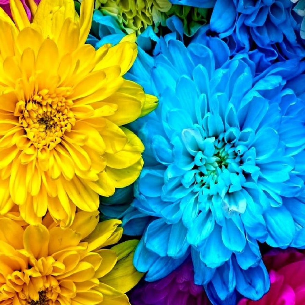 NEW SHOES EUC CLOTHES